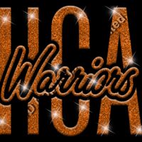 GLT95 ORANGE GLITTER Thumbnail